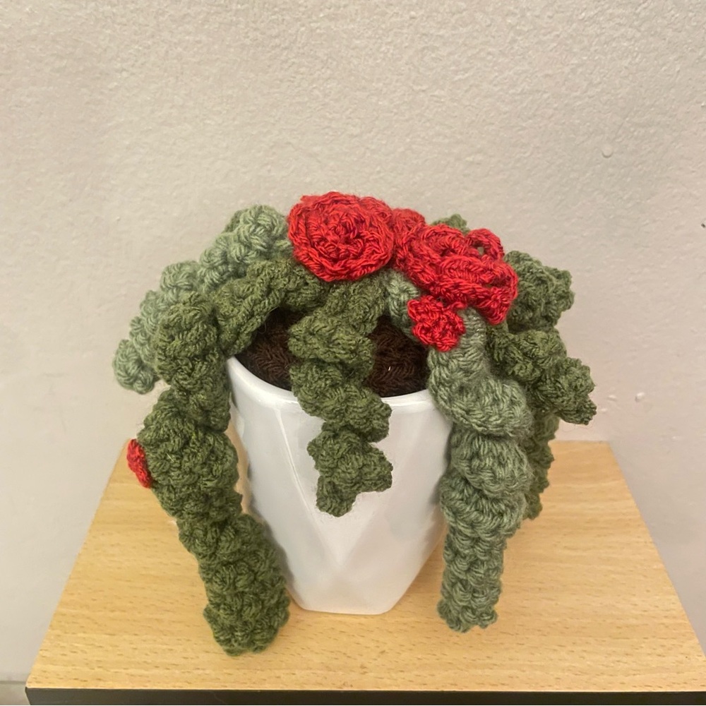 LD Yarn Creations Handmade Green & Red Crocheted Plant Décor – Approx 6” Tall - Picture 7 of 13